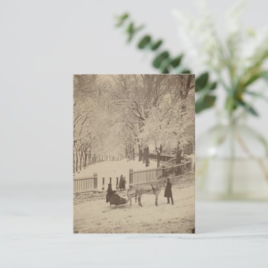 Schnee in Boston Common Postkarte (Stehend Vorderseite)