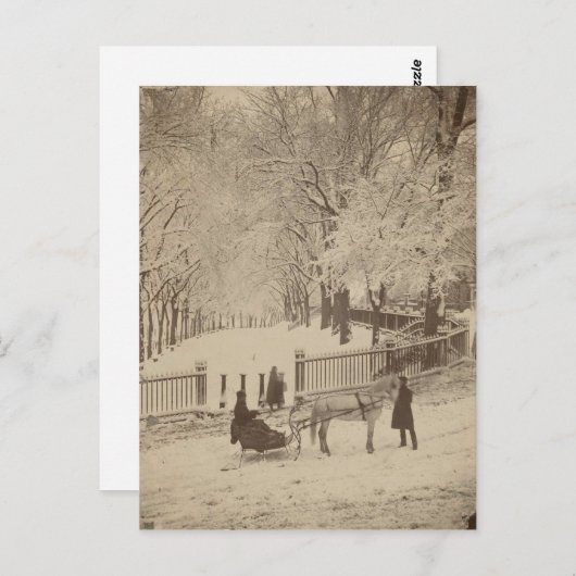 Schnee in Boston Common Postkarte (Vorne/Hinten)