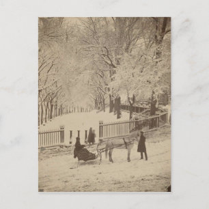 Schnee in Boston Common Postkarte