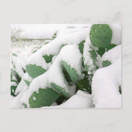 Schnee in der Wüste Postkarte (Vorderseite)