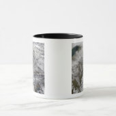 Schnee in Europa Tasse (Zentrum)
