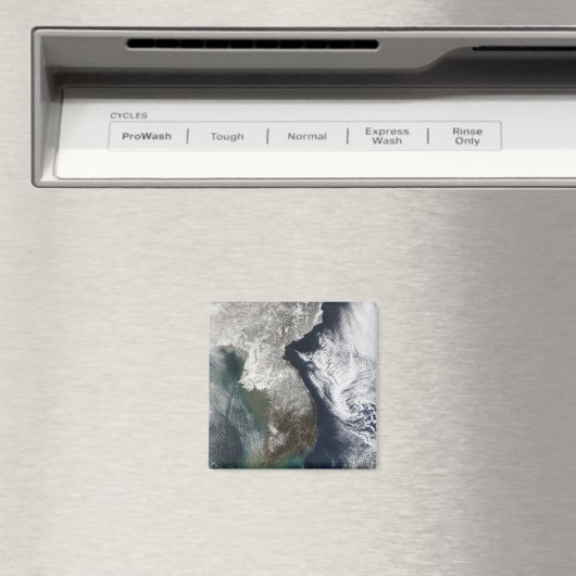 Schnee in Korea Magnet (In Situ (Geschirrspüler))