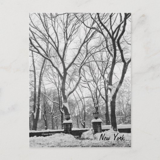 Schnee in New York Postkarte (Vorderseite)