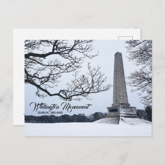 Schnee in Phoenix Park, Dublin, Irland Postkarte (Vorne/Hinten)
