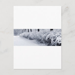 Schnee in Schweden Postkarte