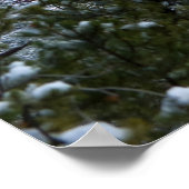 Schnee in Sedona Arizona 2812 Poster (Ecke)