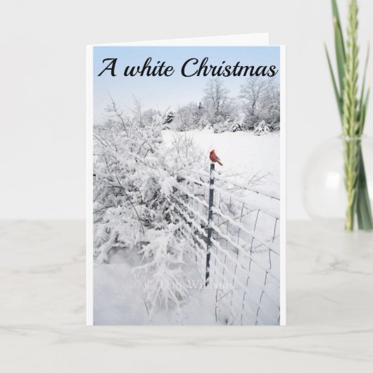 SCHNEE IST SO SCHÖN HOFFNUNG, DASS IHRE CHRISTMAS KARTE (Vorderseite)