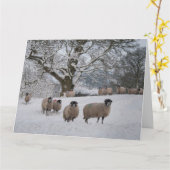 Schnee Karte (Gelbe Blume)