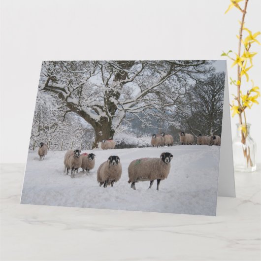 Schnee Karte (Gelbe Blume)