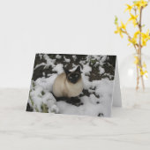 Schnee-Katze Karte (Gelbe Blume)