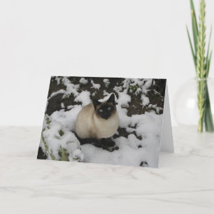 Schnee-Katze Karte