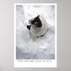 Schnee-Katze Poster