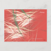 SCHNEE-KEGEL FEIERTAGSPOSTKARTE (Rückseite)