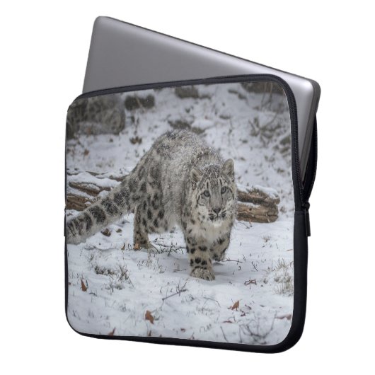 Schnee-Leopard-CUB-Anpirschen Laptopschutzhülle (Vorderseite Links)