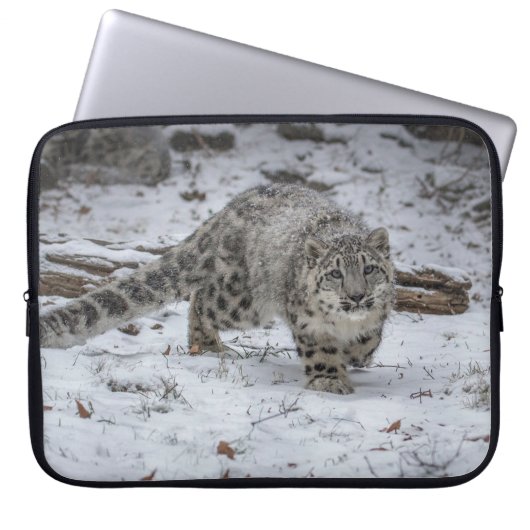 Schnee-Leopard-CUB-Anpirschen Laptopschutzhülle (Vorderseite)