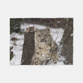 Schnee-Leopard CUB Fleecedecke (Vorderseite (Horizontal))