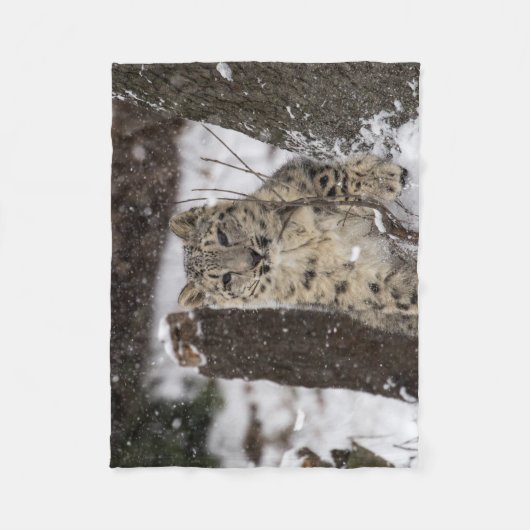 Schnee-Leopard CUB Fleecedecke (Vorderseite)