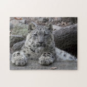 Schnee-Leopard-CUB-Sitzen Puzzle (Horizontal)