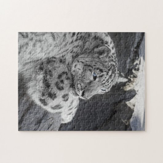 Schnee-Leopard-eisige Starren Puzzle (Horizontal)