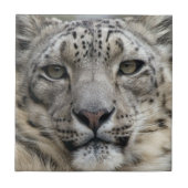 Schnee-Leopard-Fliese Fliese (Vorderseite)