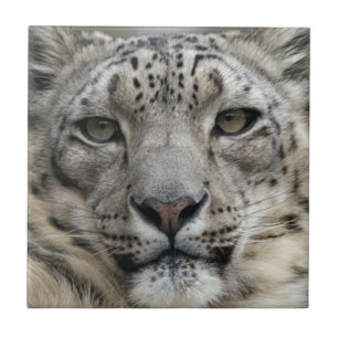 Schnee-Leopard-Fliese Fliese