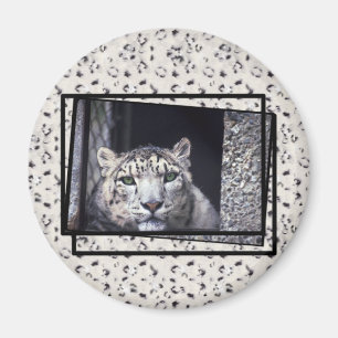 Schnee-Leopard-Foto Magnet