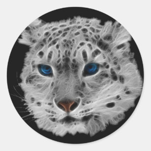 Weisse Katze Blauen Augen Aufkleber Zazzle De