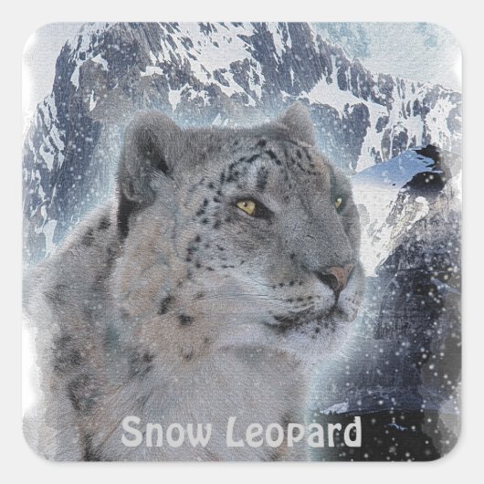 SCHNEE LEOPARD gefährdete Arten von Big Cat Quadratischer Aufkleber (Vorderseite)