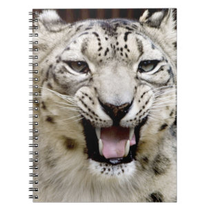 Schnee-Leopard-Gesicht Notizblock