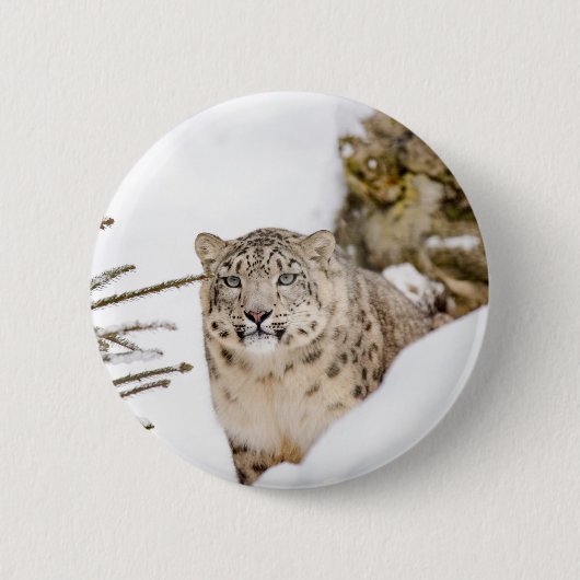 Schnee-Leopard im Schnee Button (Vorderseite)
