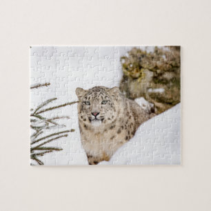 Schnee-Leopard im Schnee Puzzle