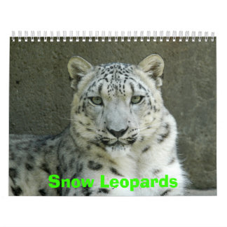 Schnee-Leopard-Kalender, Schnee-Leoparden Kalender