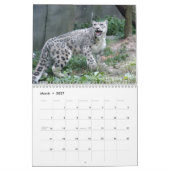 Schnee-Leopard-Kalender, Schnee-Leoparden Kalender (Mär 2027)