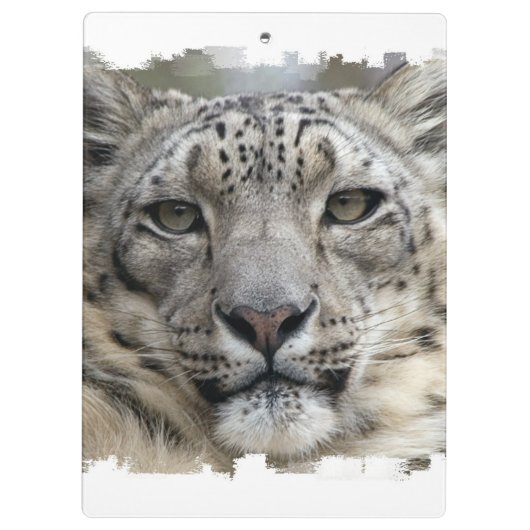 Schnee-Leopard Klemmbrett (Rückseite)