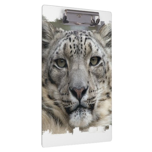 Schnee-Leopard Klemmbrett (Rechts)