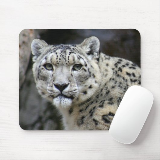 Schnee-Leopard-Mausunterlage Mousepad (Mit Mouse)