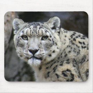 Schnee-Leopard-Mausunterlage Mousepad