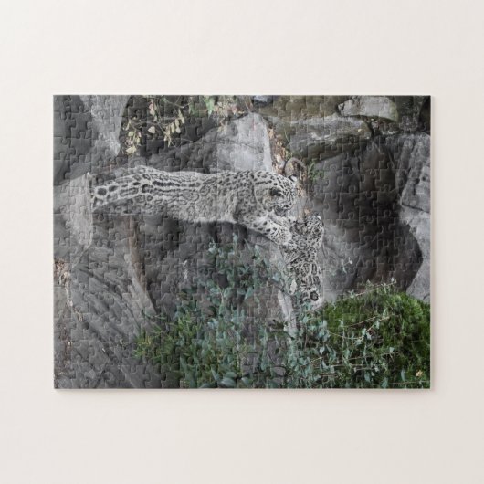 Schnee-Leopard-Mutter und CUB Puzzle (Horizontal)