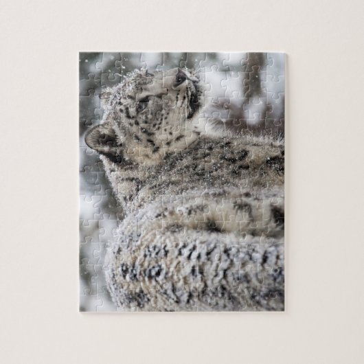 Schnee-Leopard-Profil im Schnee Puzzle (Vertikal)