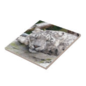 Schnee Leopard - schön! Fliese (Seite)