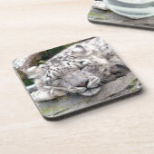 Schnee Leopard - schön! Getränkeuntersetzer (Linke Seite)