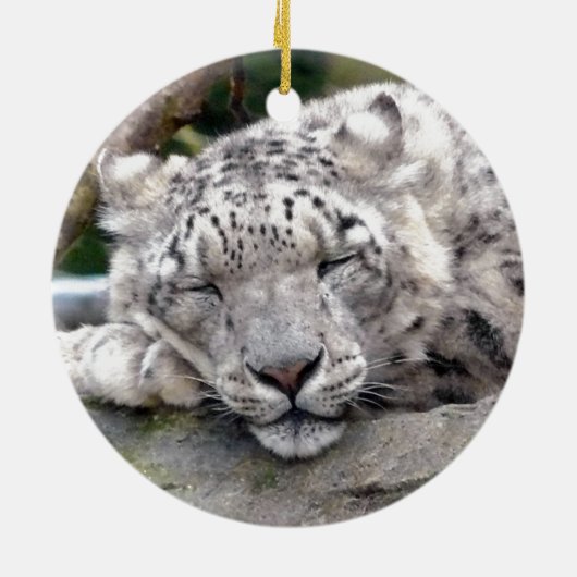 Schnee Leopard - schön! Keramikornament (Hinten)