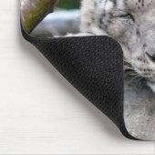 Schnee Leopard - schön! Mousepad (Ecke)
