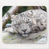 Schnee Leopard - schön! Mousepad (Vorne)