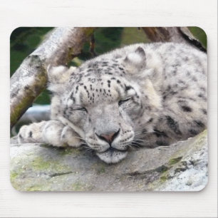 Schnee Leopard - schön! Mousepad