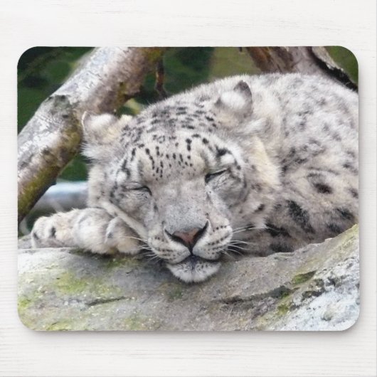 Schnee Leopard - schön! Mousepad (Vorne)