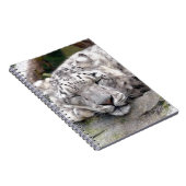 Schnee Leopard - schön! Notizblock (Rechte Seite)