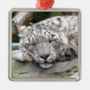 Schnee Leopard - schön! Ornament Aus Metall