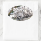 Schnee Leopard - schön! Ovaler Aufkleber (Tasche)