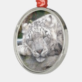 Schnee Leopard - schön! Silbernes Ornament (Links)